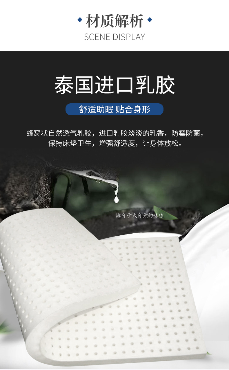脊健_12.jpg